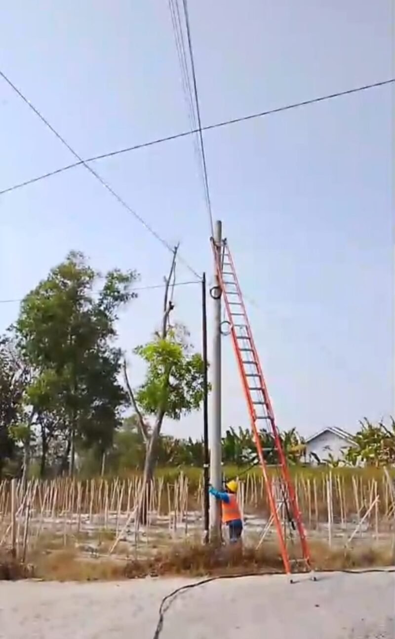 Petugas PLN tengah mengecek tegangan listrik