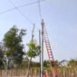 Petugas PLN tengah mengecek tegangan listrik