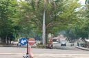 Dinas PU - PR Lampung Selatan akan perbaiki jalan berlubang dan Lebarkan Jalan Depan Kantor Bupati Lamsel. (Foto.Juwantoro) 