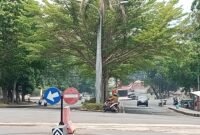 Dinas PU - PR Lampung Selatan akan perbaiki jalan berlubang dan Lebarkan Jalan Depan Kantor Bupati Lamsel. (Foto.Juwantoro) 