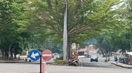 Dinas PU - PR Lampung Selatan akan perbaiki jalan berlubang dan Lebarkan Jalan Depan Kantor Bupati Lamsel. (Foto.Juwantoro) 