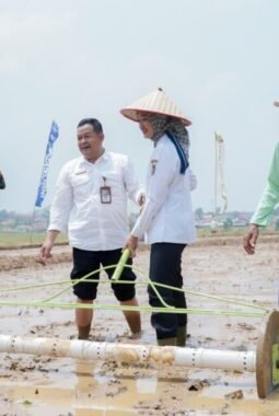 Pemprov Lampung Perkuat Pertanian Modern untuk Tingkatkan Produktivitas dan Pendapatan Petani